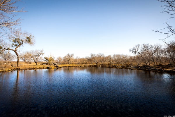 3407 COUNTY ROAD 215, FALLS CITY, TX 78113 - Image c4b3e7a65f75e80a2c490e69da0cc199/1780855976
