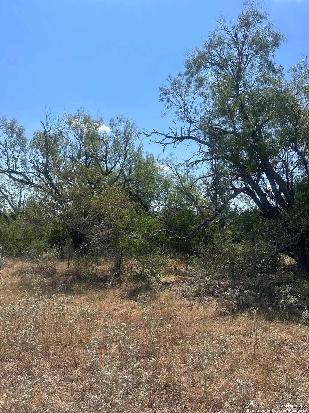 Photo of 6032 (LOT 9) CR 405, Floresville, TX 78114 (MLS # 1892032)