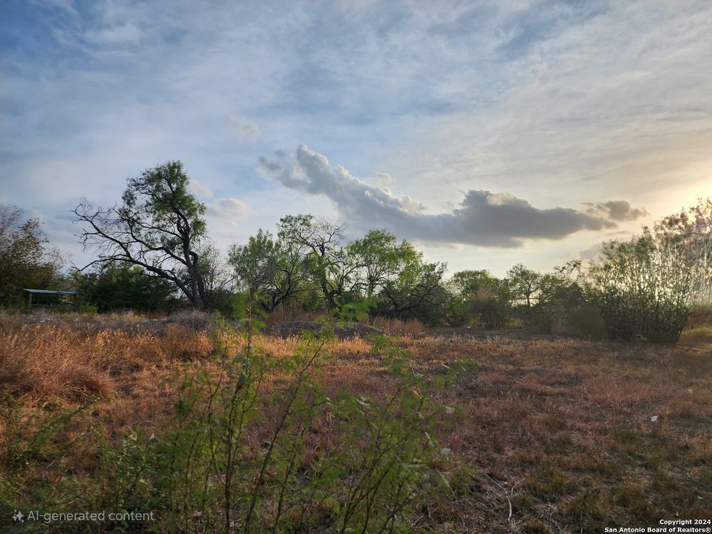 Photo of 1322 JANICE GAIL DR, San Antonio, TX 78224 (MLS # 1821778)