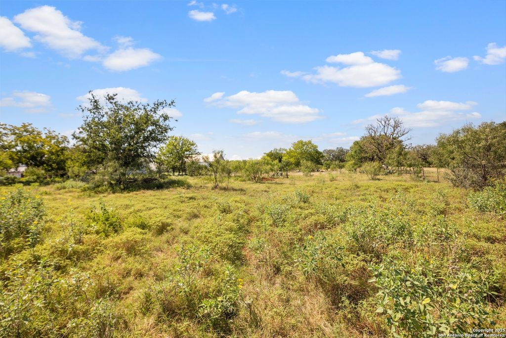 Photo of 604 N Cherry St, Fredericksburg, TX 78624 (MLS # 1908173)