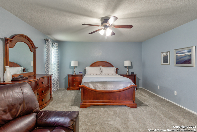 331 primrose