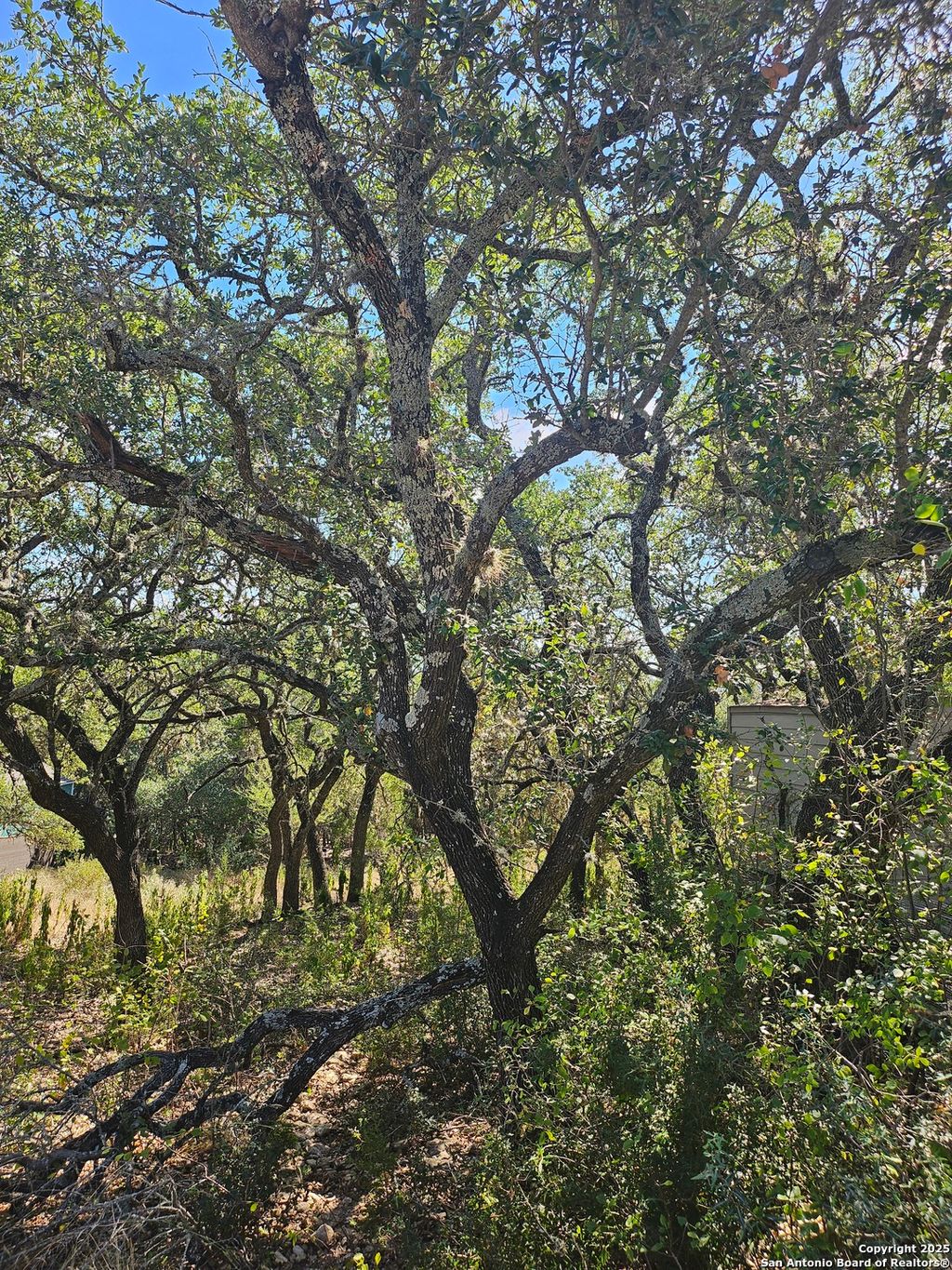 Photo of 1437 TRAILRIDGE DR, Canyon Lake, TX 78133 (MLS # 1915207)