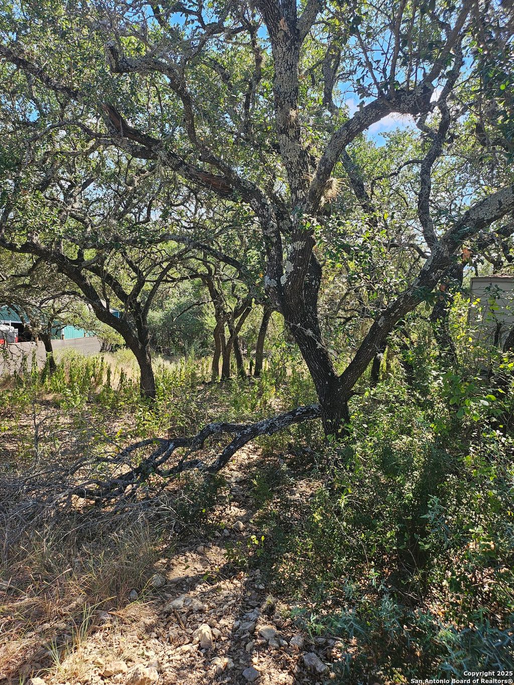 Photo of 1437 TRAILRIDGE DR, Canyon Lake, TX 78133 (MLS # 1915207)