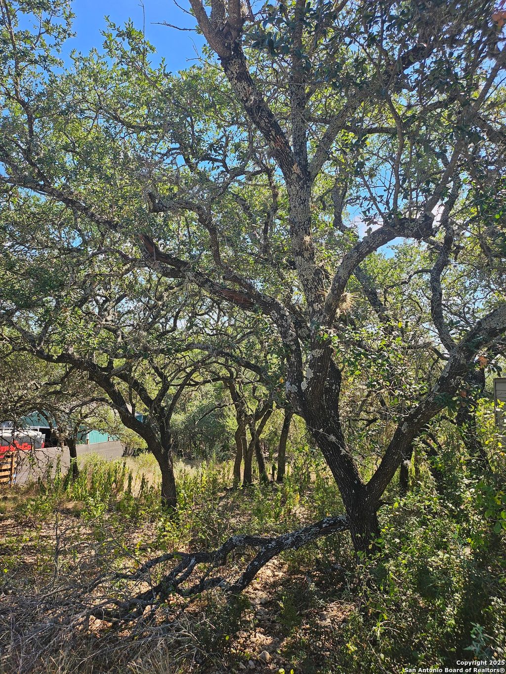 Photo of 1437 TRAILRIDGE DR, Canyon Lake, TX 78133 (MLS # 1915207)