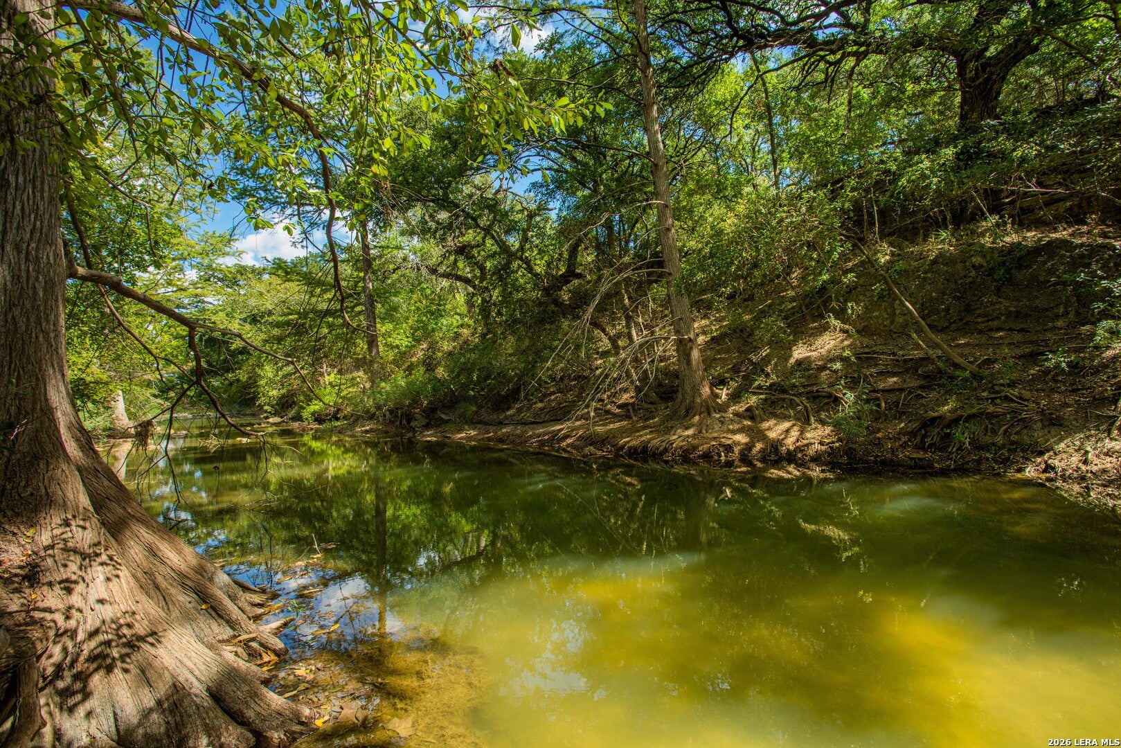 10279 US Hwy 290