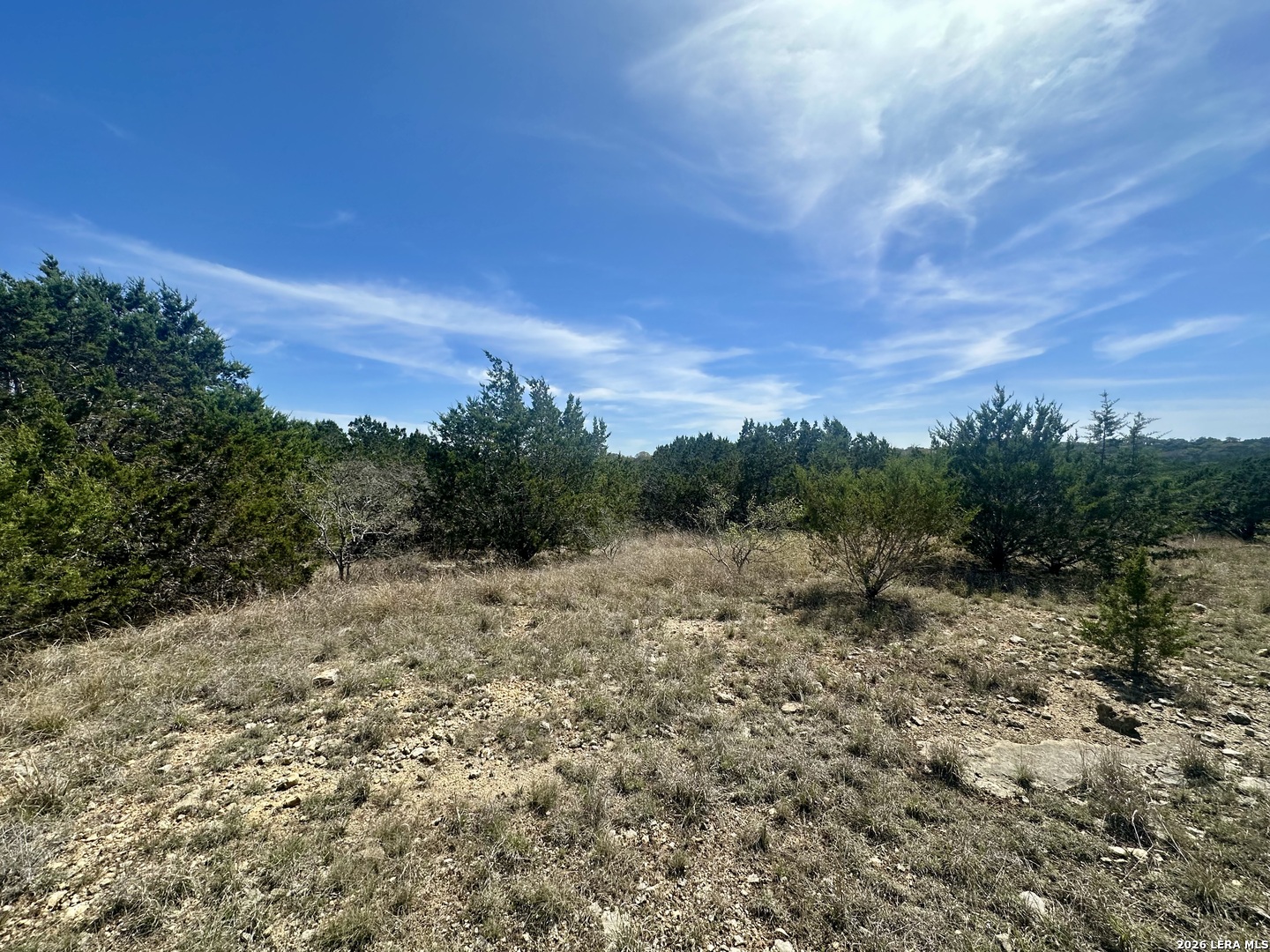 Search 107 Camp Alzafar