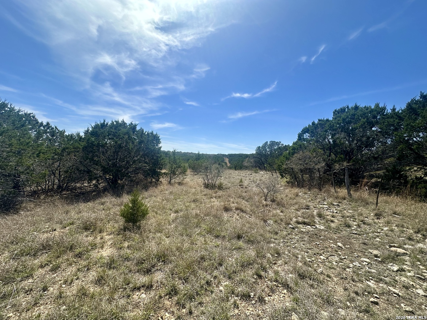 Search 107 Camp Alzafar