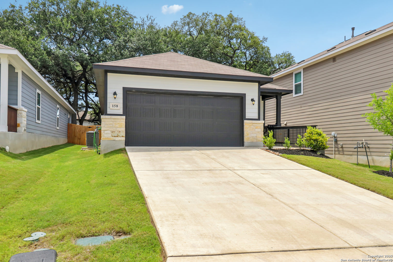 158 Canopy Oak