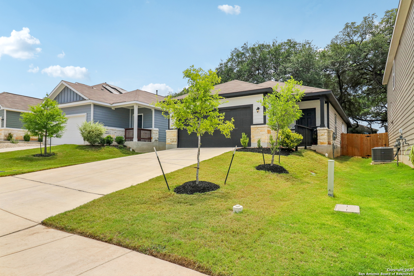 158 Canopy Oak