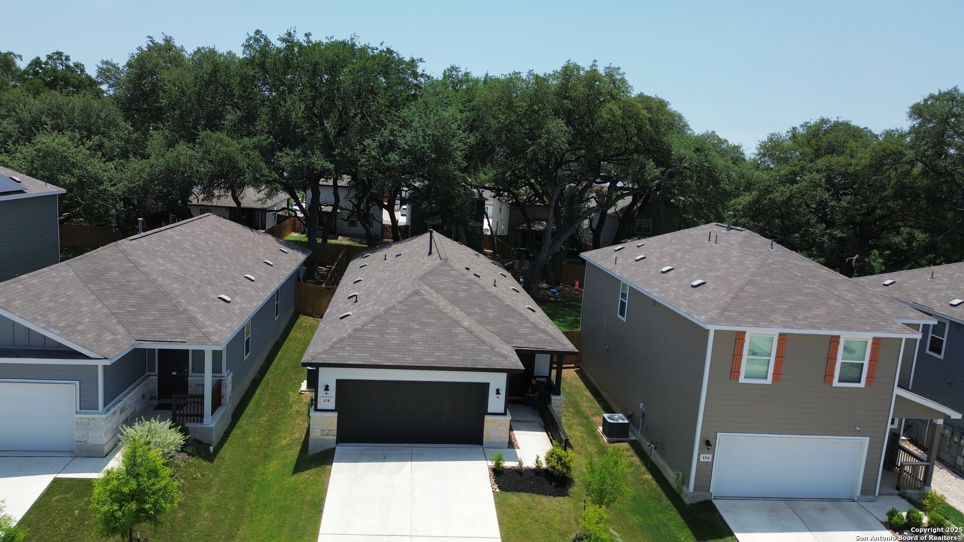 158 Canopy Oak