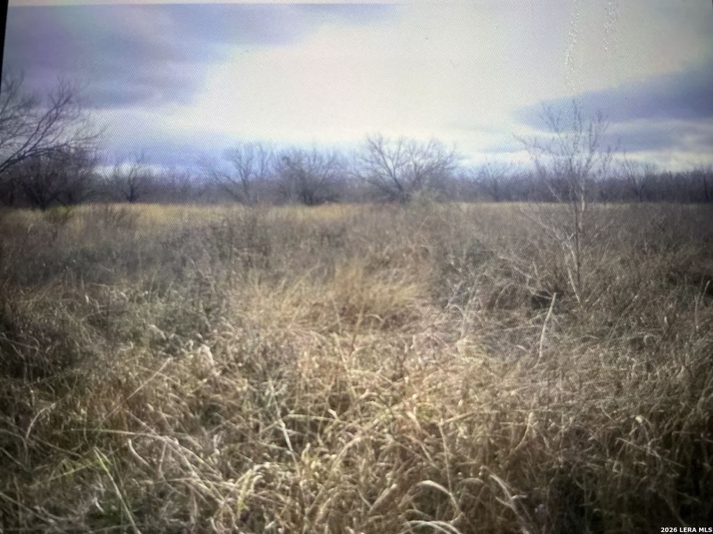 Photo of 332 Private Road 6632, Devine, TX 78016 (MLS # 1959401)