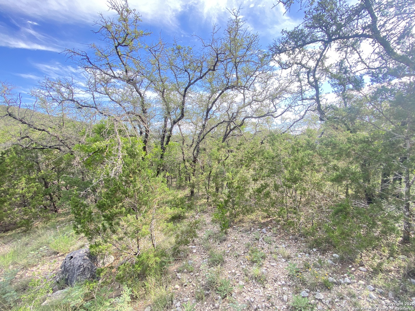 430 Frio Canyon Loop