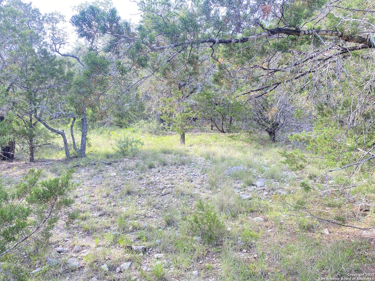 430 Frio Canyon Loop