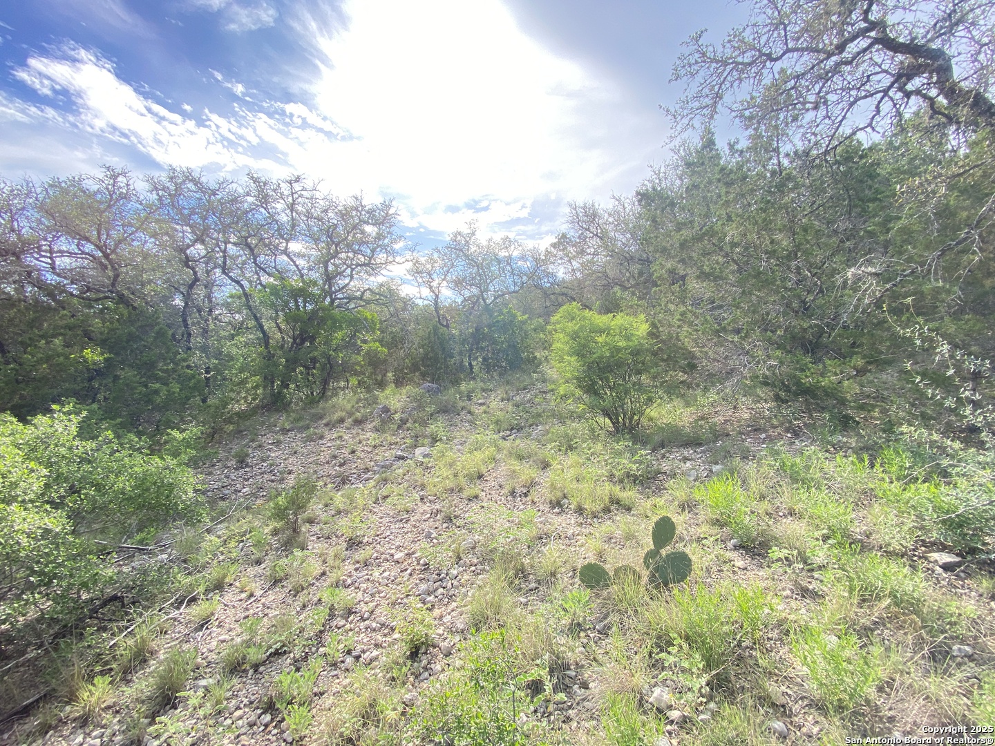 430 Frio Canyon Loop
