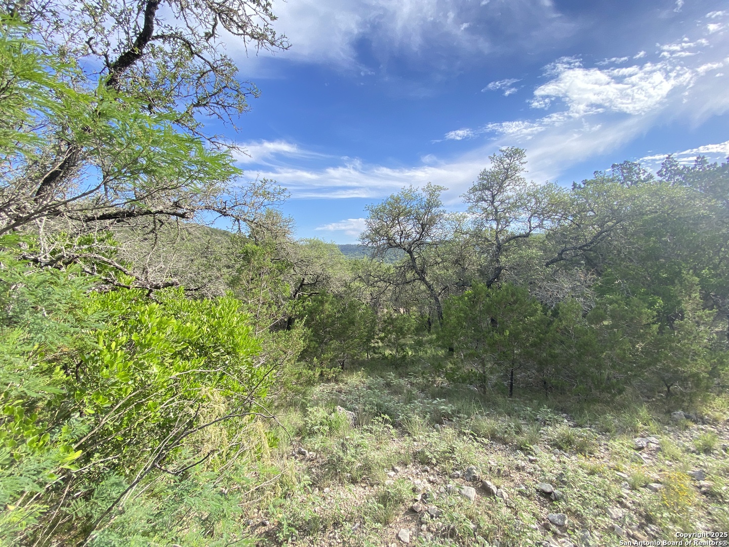 430 Frio Canyon Loop