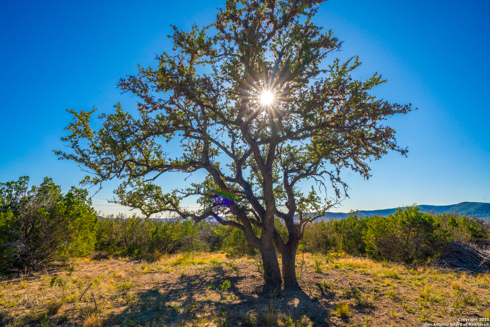000 Little Dry Frio Rd Lot 3-5