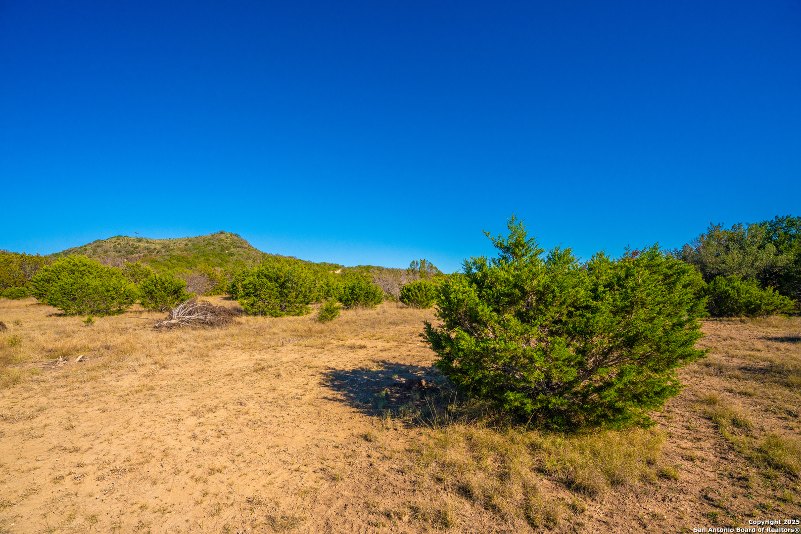 000 Little Dry Frio Rd Lot 4