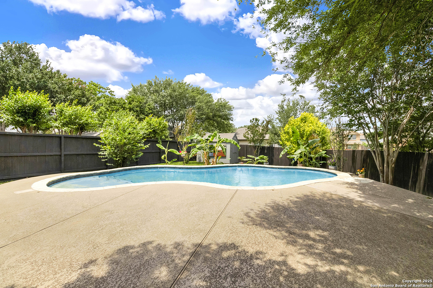 121 Bay Willow