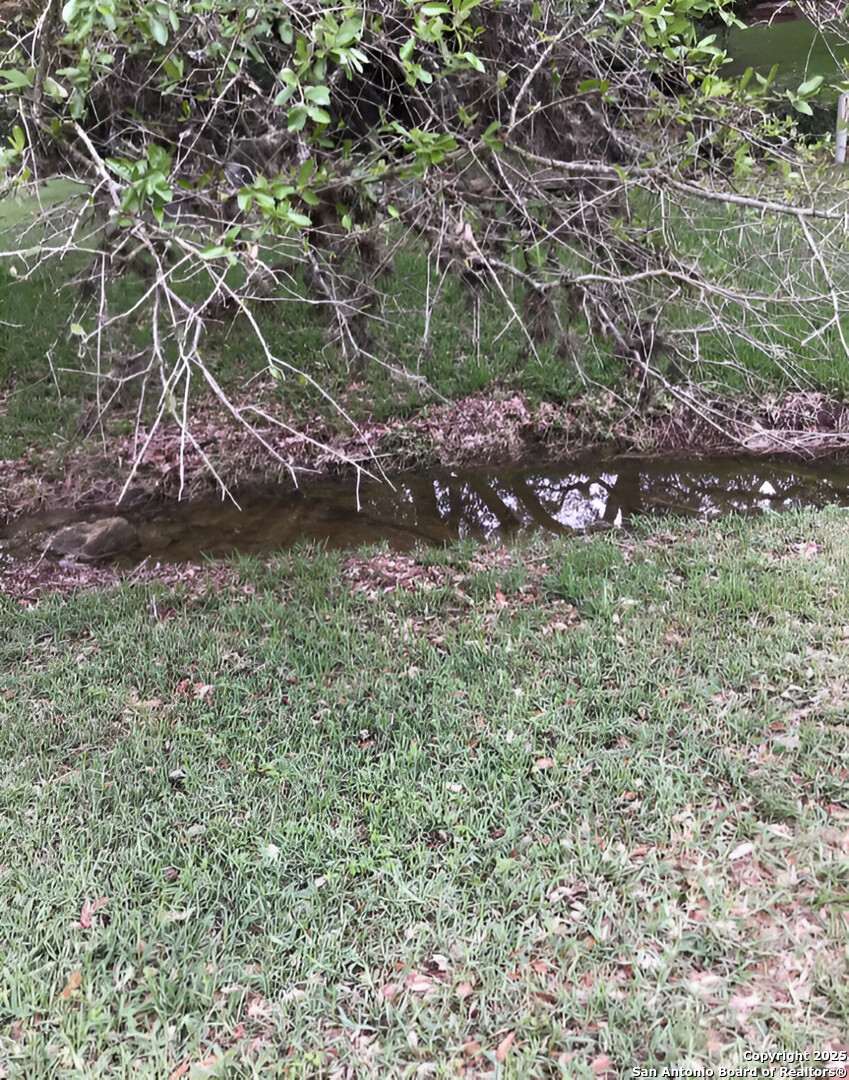 21209 Forest Waters