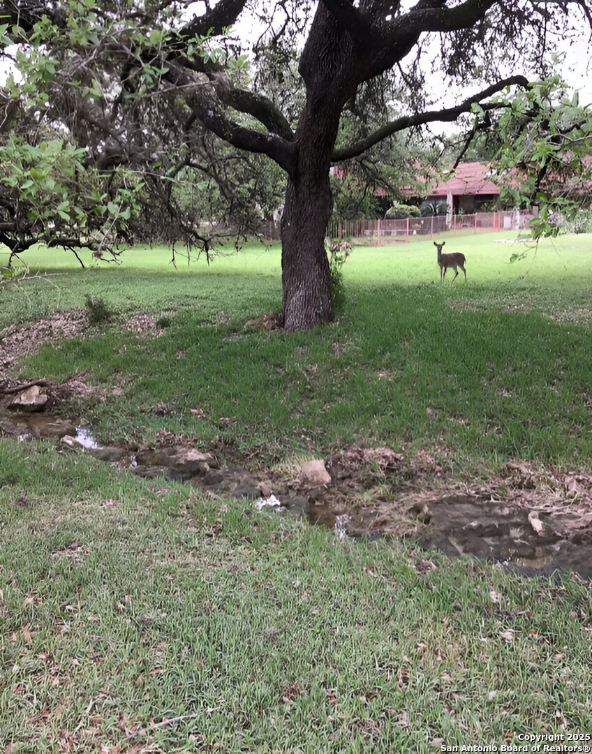 21209 Forest Waters