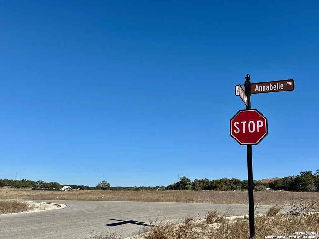 Photo of 724 Annabelle, Bulverde, TX 78163 (MLS # 1922232)