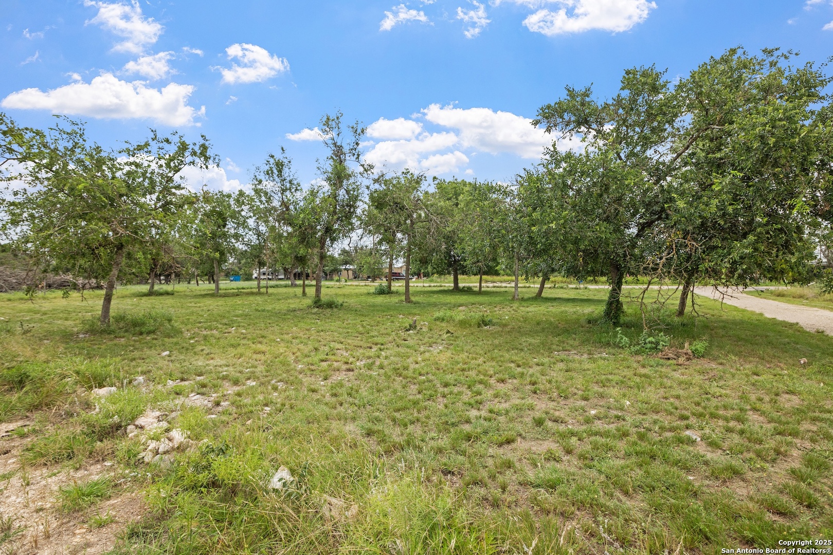 143 Michael Dr