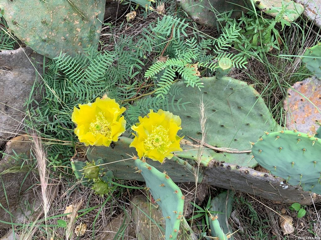 Photo of 12 Stone Crst, Bandera, TX 78003 (MLS # 1967793)