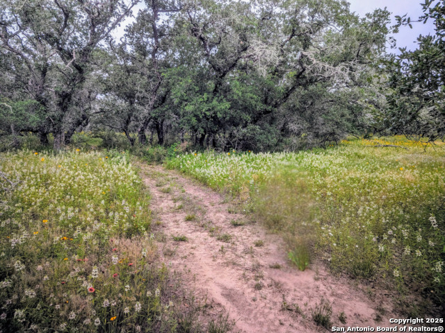 TBD County Road 6813