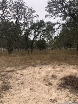 156 COUNTY ROAD 781, NATALIA, TX 78059 - Image ca3afa247aab1e78e434d83fd42fd9d7/110791212