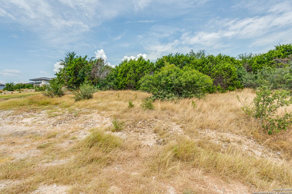 Photo of 2218 Pinot Blanc, New Braunfels, TX 78132 (MLS # 1926977)