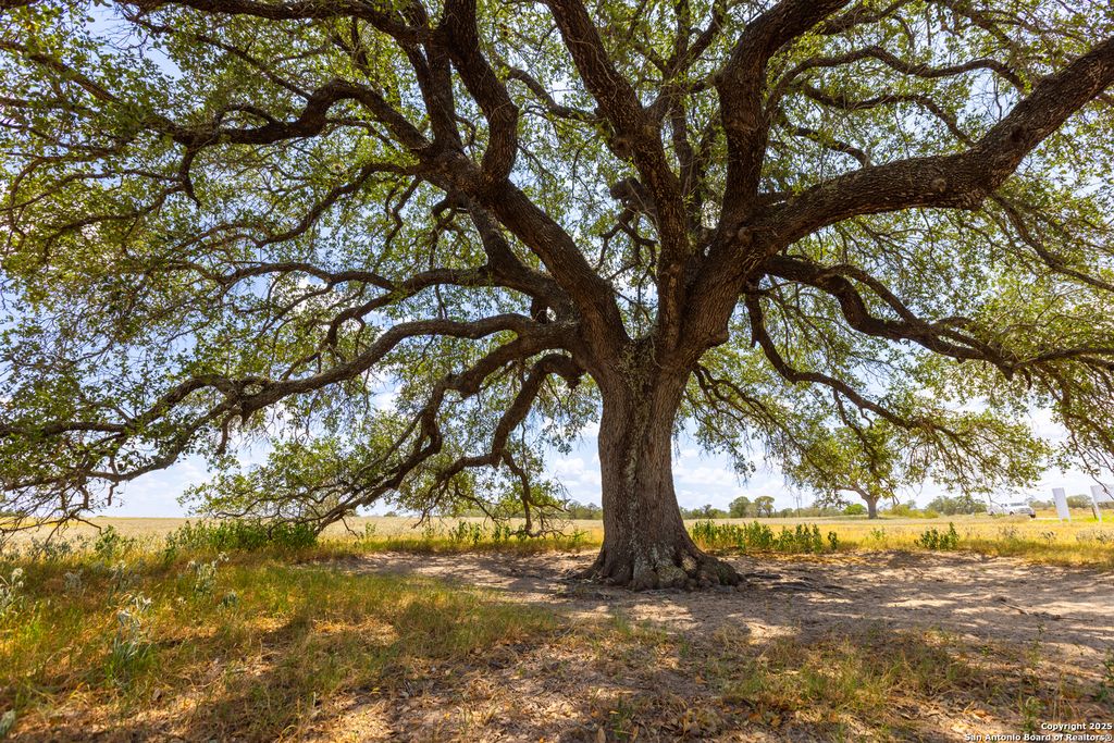 Photo of 2774 County Road 320, Floresville, TX 78114 (MLS # 1892998)