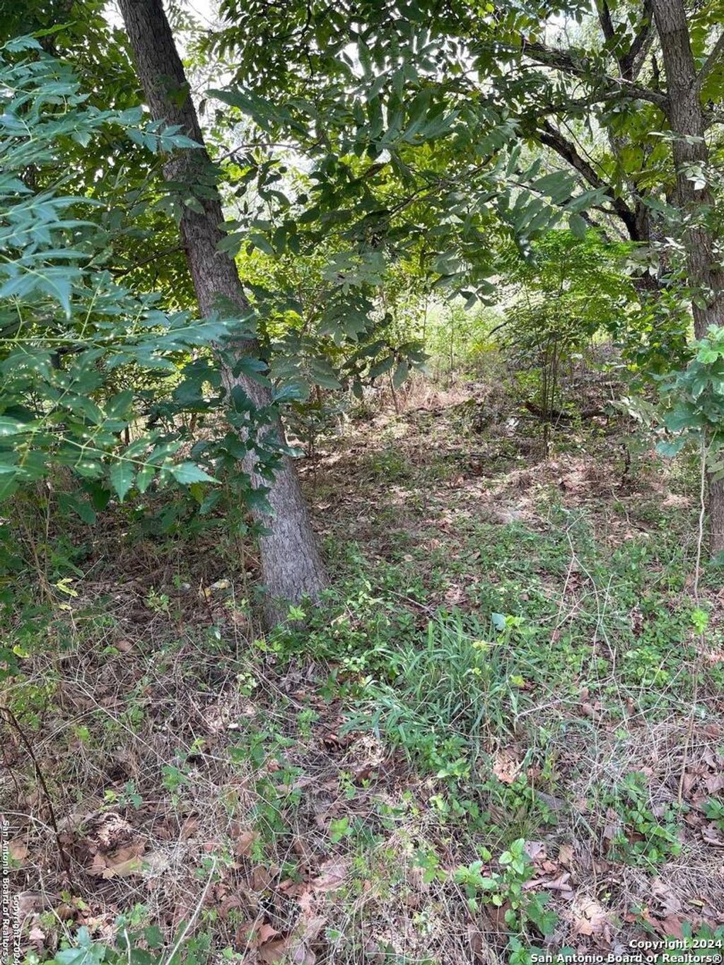 Photo of 1711 S Loop 1604 E, San Antonio, TX 78264 (MLS # 1809946)