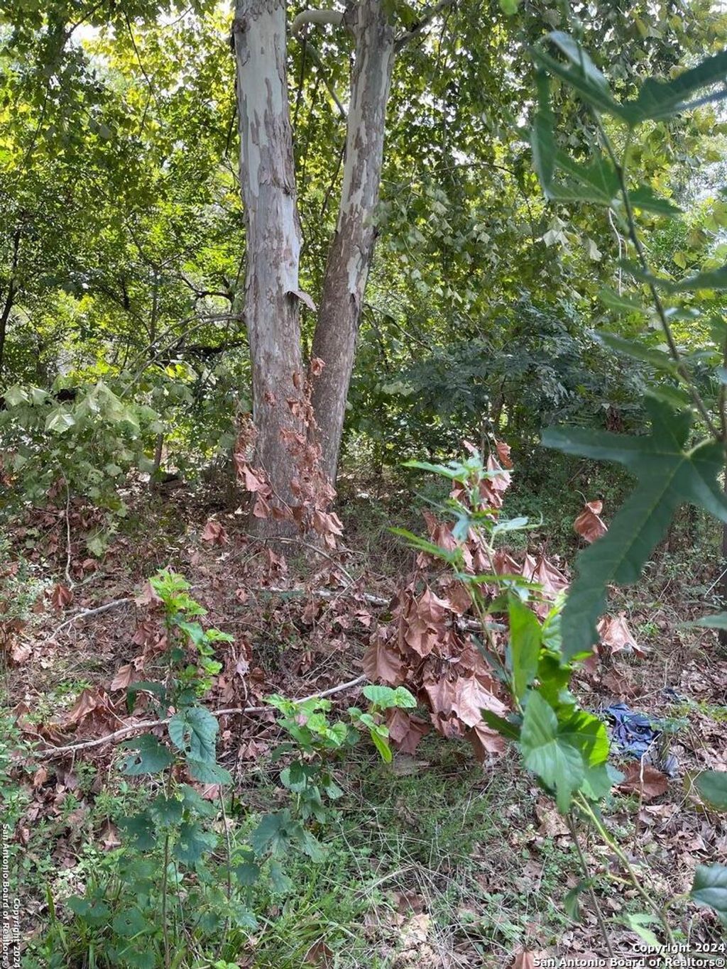 Photo of 1711 S Loop 1604 E, San Antonio, TX 78264 (MLS # 1809946)