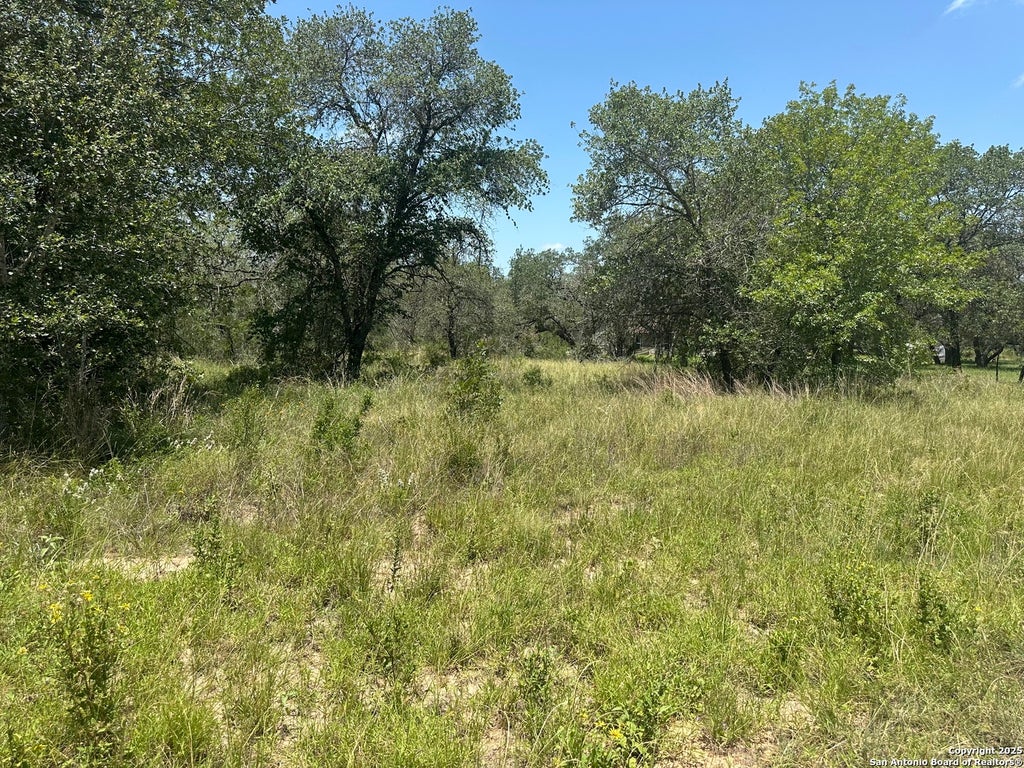 Photo of 00 Clear Lake loop, Poteet, TX 78065 (MLS # 1890305)