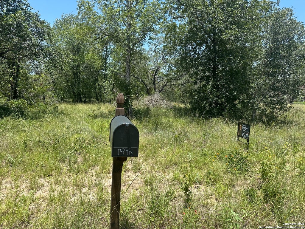 Photo of 00 Clear Lake loop, Poteet, TX 78065 (MLS # 1890305)