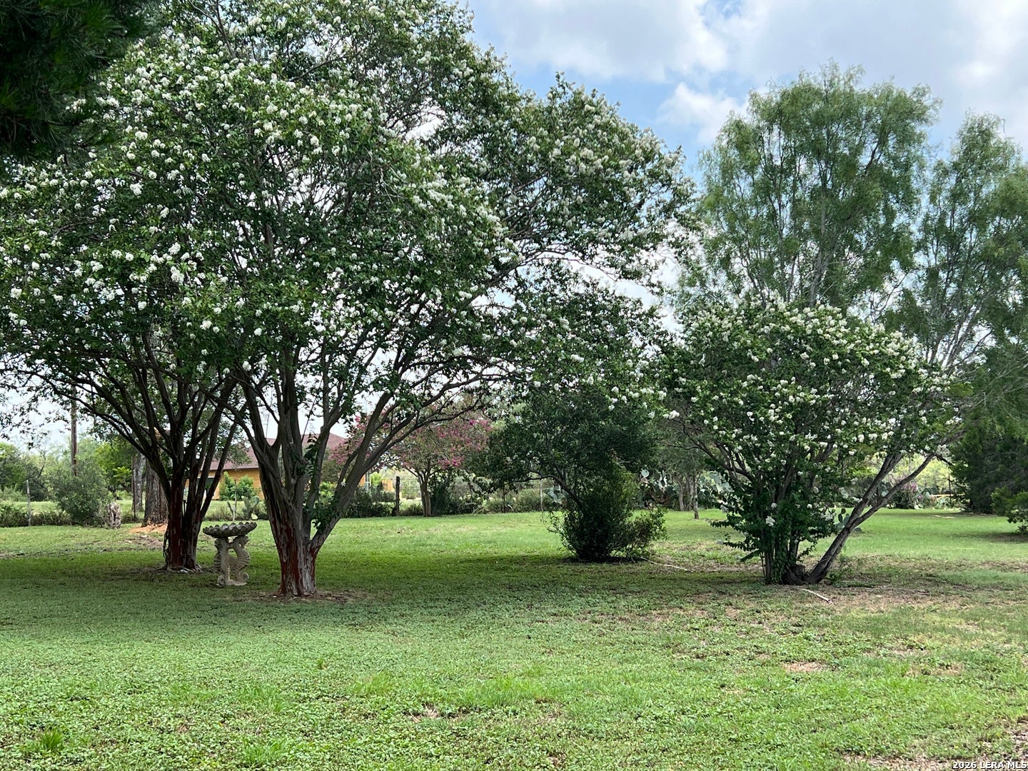 444 COUNTY ROAD 4770