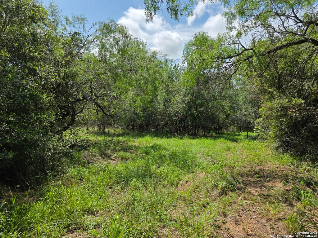 Photo of 565 Marrou Rd., Seguin, TX 78155 (MLS # 1876542)