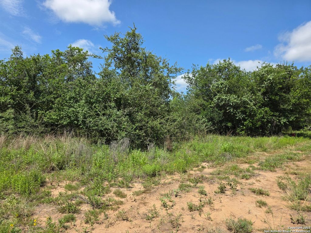 Photo of 565 Marrou Rd., Seguin, TX 78155 (MLS # 1876542)
