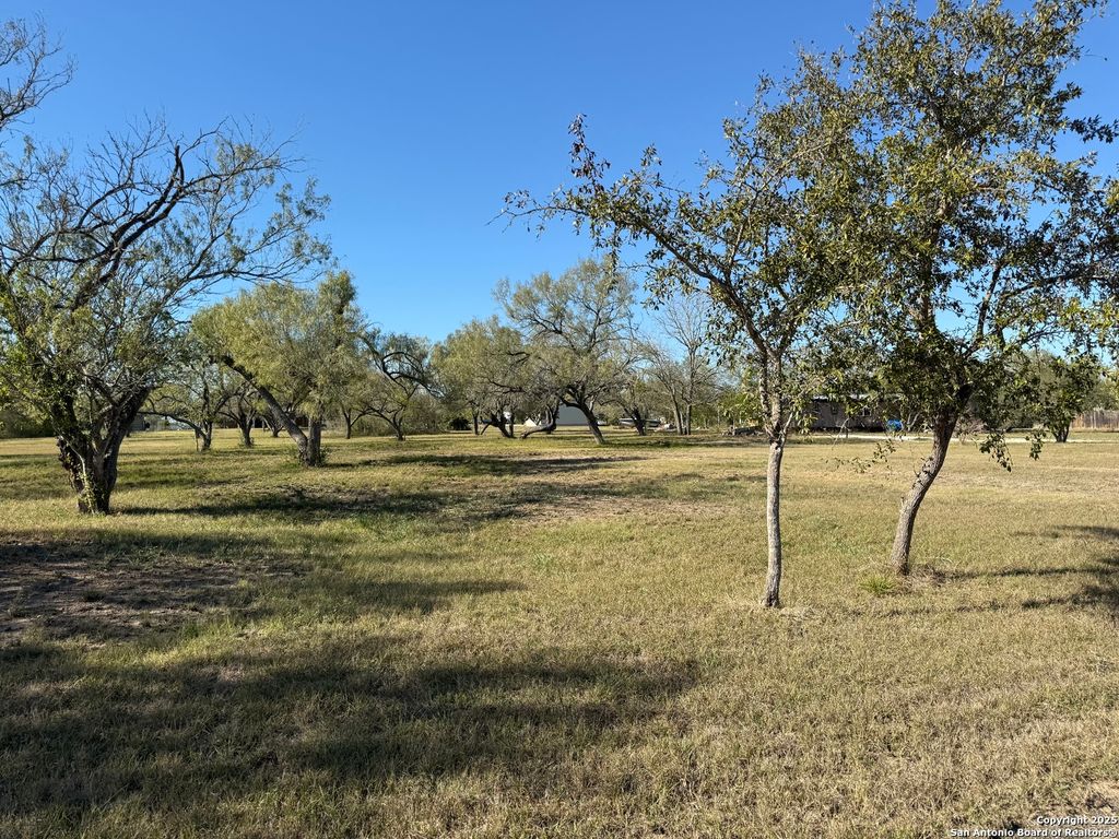 Photo of 150 Tomahawk, Seguin, TX 78155 (MLS # 1920464)