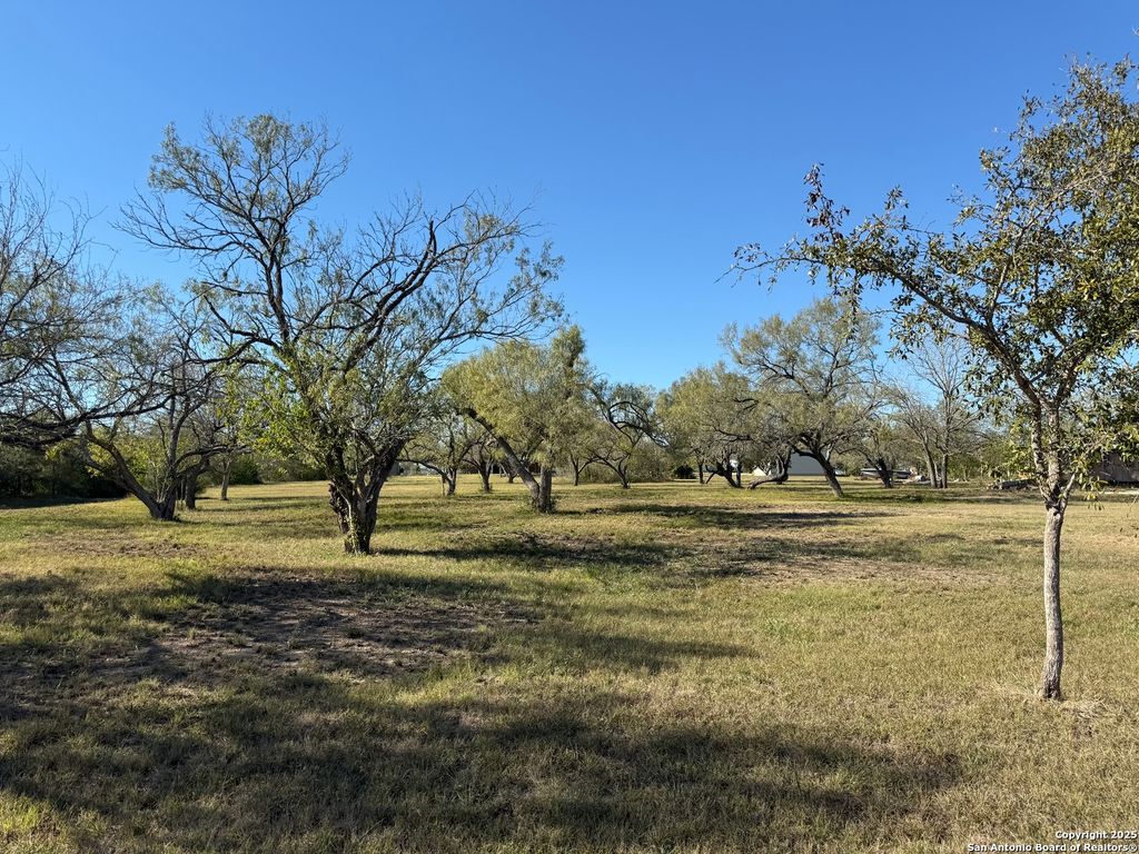 Photo of 150 Tomahawk, Seguin, TX 78155 (MLS # 1920464)