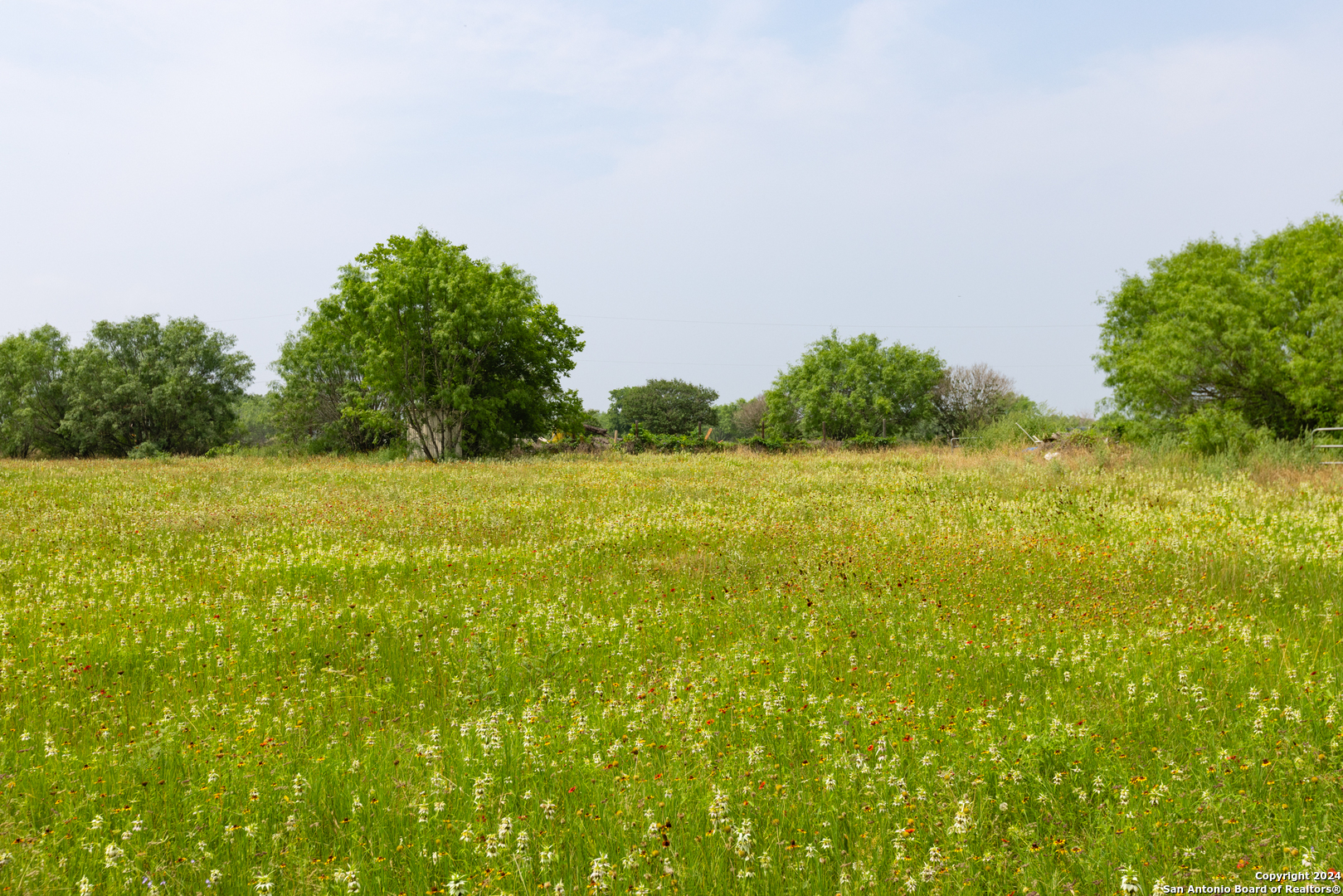 View Atascosa, TX 78002 property