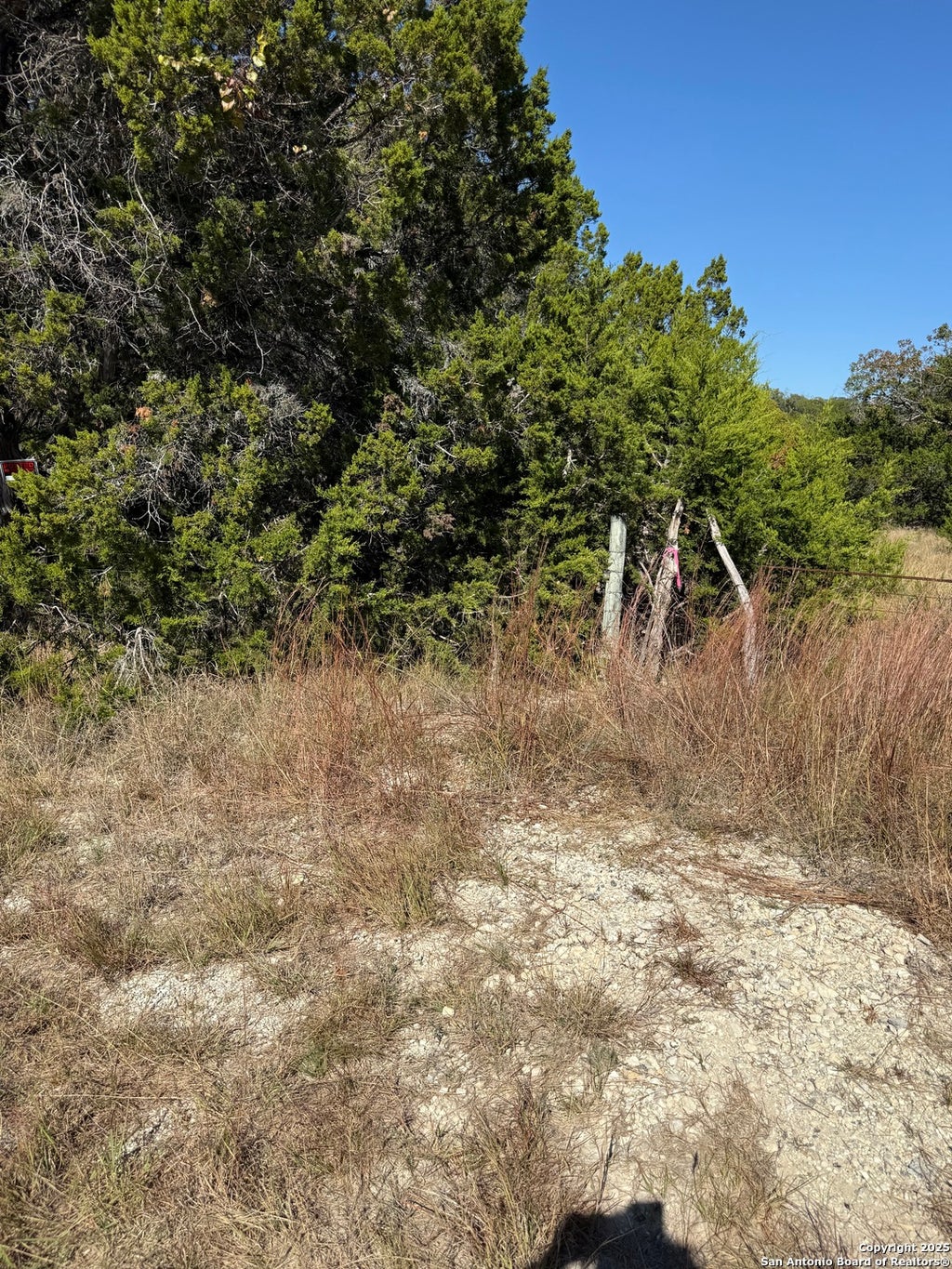 Photo of (LT) 396 Forest Trail Drive, Bandera, TX 78003 (MLS # 1921448)