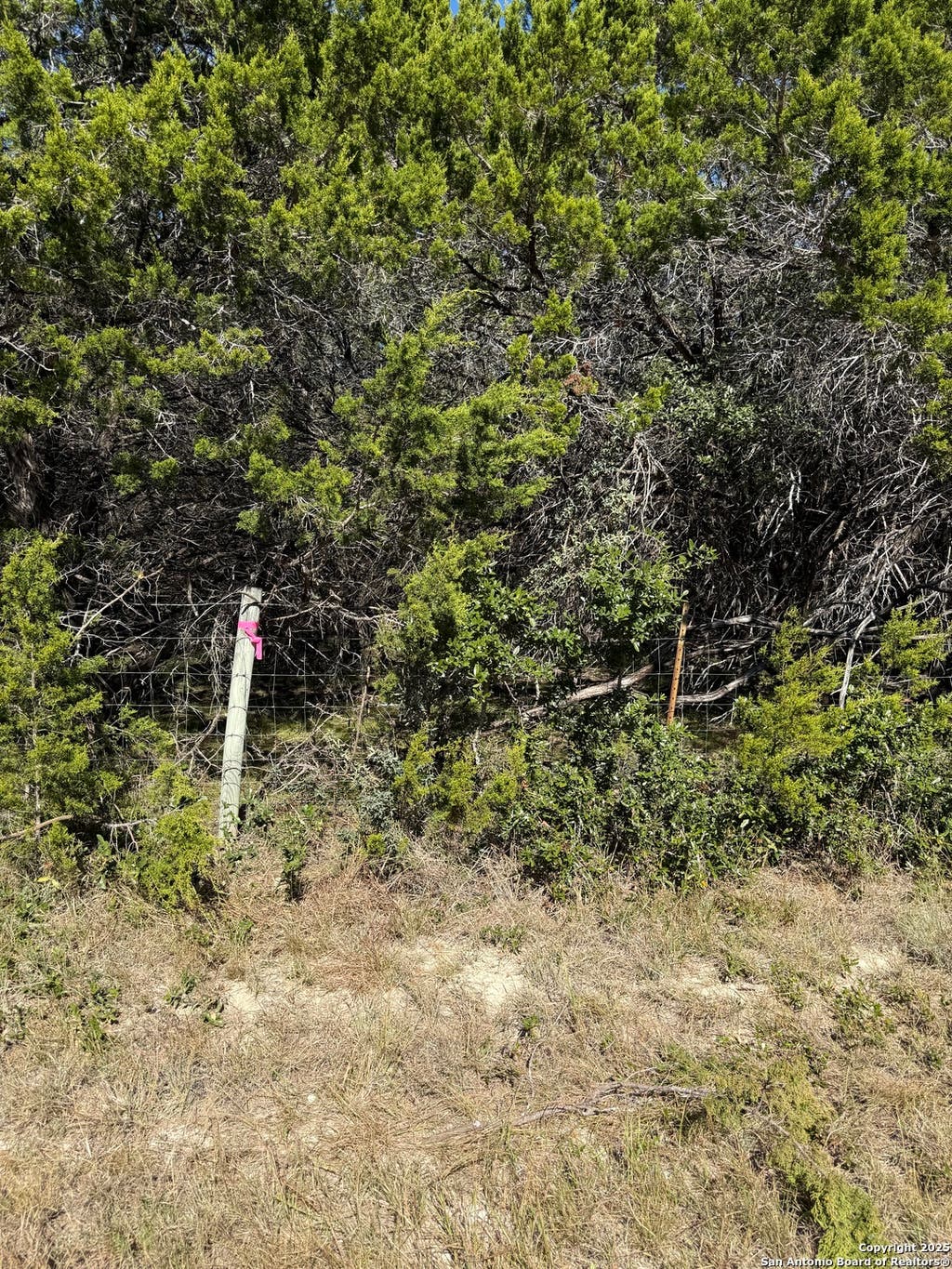 Photo of (LT) 396 Forest Trail Drive, Bandera, TX 78003 (MLS # 1921448)