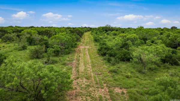 9803 FARM TO MARKET RD 1796, D HANIS, TX 78850 - Image cd70b3b7253b2908564ca9c4e0c14fbf/1828301063