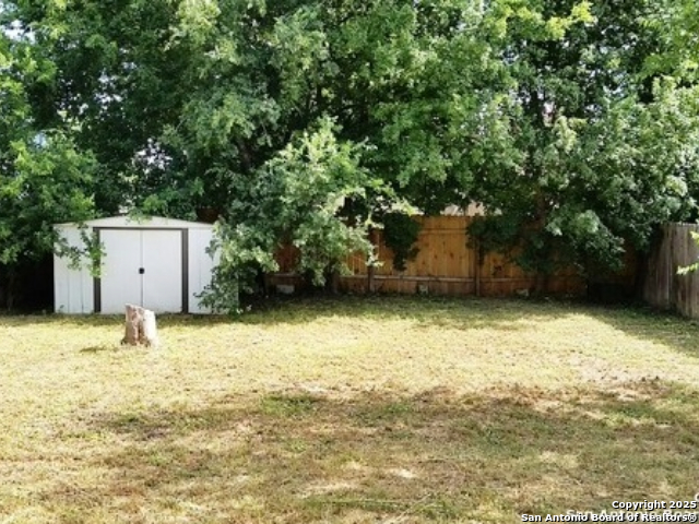 10039 Birch Field