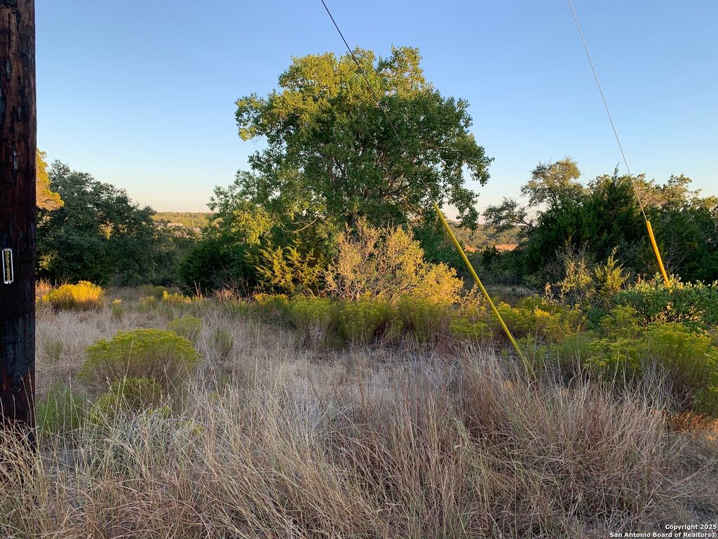 Photo of 431 Cliffview Circle, Canyon Lake, TX 78133 (MLS # 1870092)