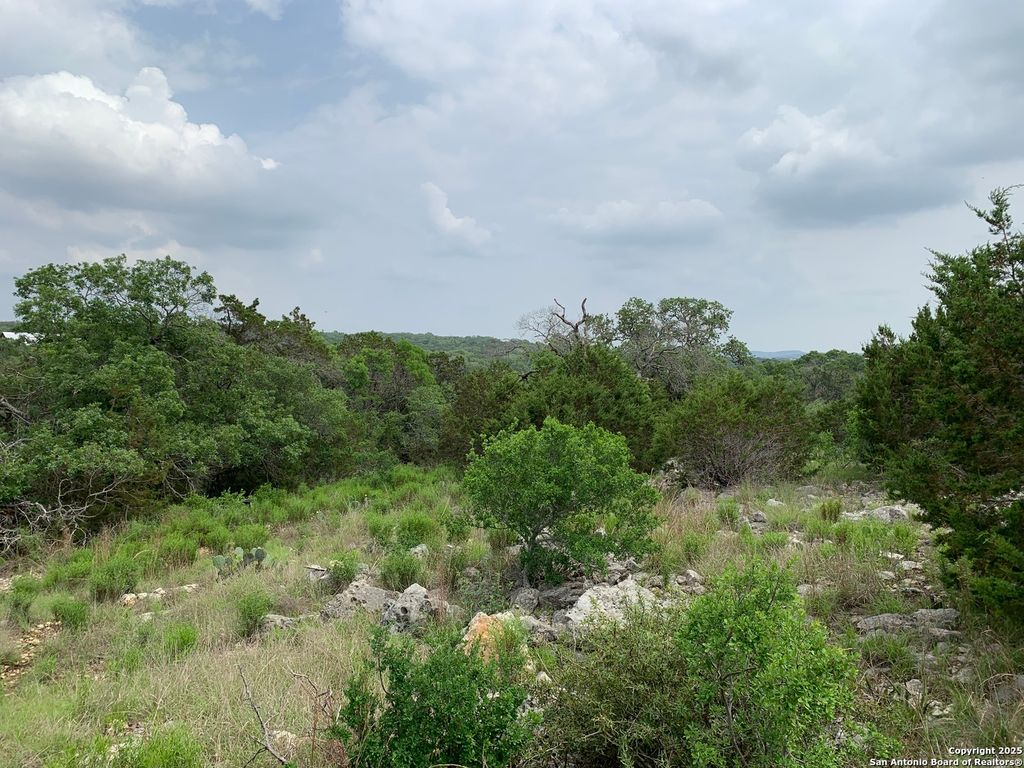 Photo of 431 Cliffview Circle, Canyon Lake, TX 78133 (MLS # 1870092)