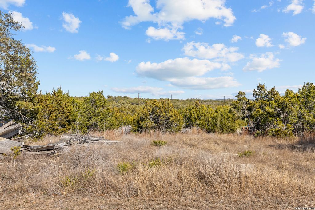 Photo of 1503 Birch, Fischer, TX 78623 (MLS # 1939913)
