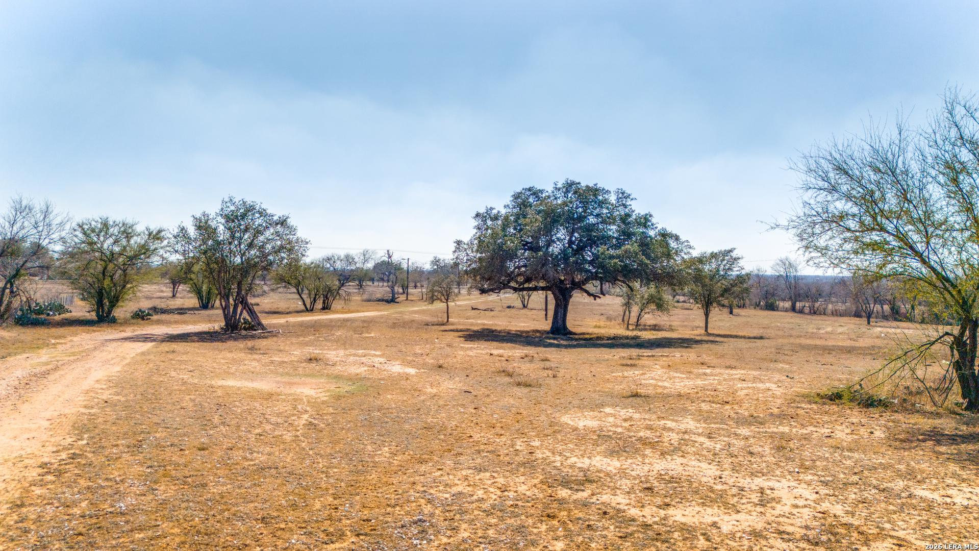 2565 Wright Carpenter