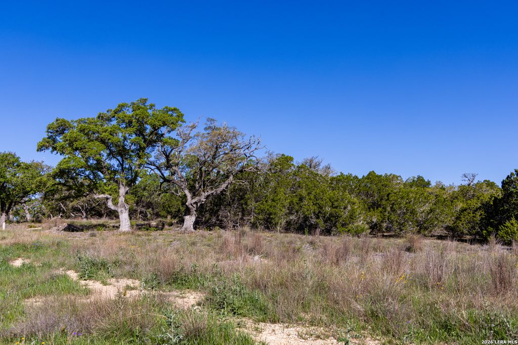 Photo of 755 Banfield Pass Av, Bulverde, TX 78163 (MLS # 1954339)